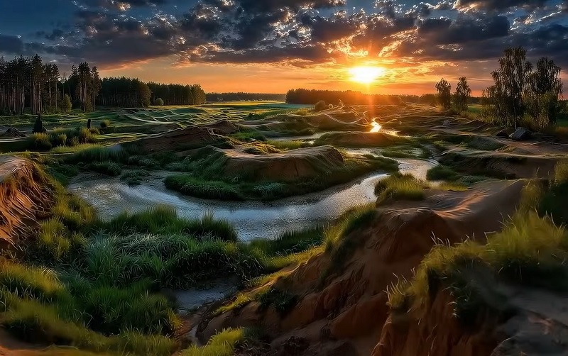 Où sont passés les arbres kilométriques ?