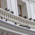 Les milliardaires initiés ont besoin de pigeons ayant confiance dans l’IA pour dégager avant la crise énergétique